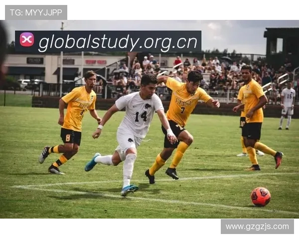 ✅体育直播🏆世界杯直播🏀NBA直播⚽- 韩国国立中央博物馆举办高丽象形青瓷特展- sports